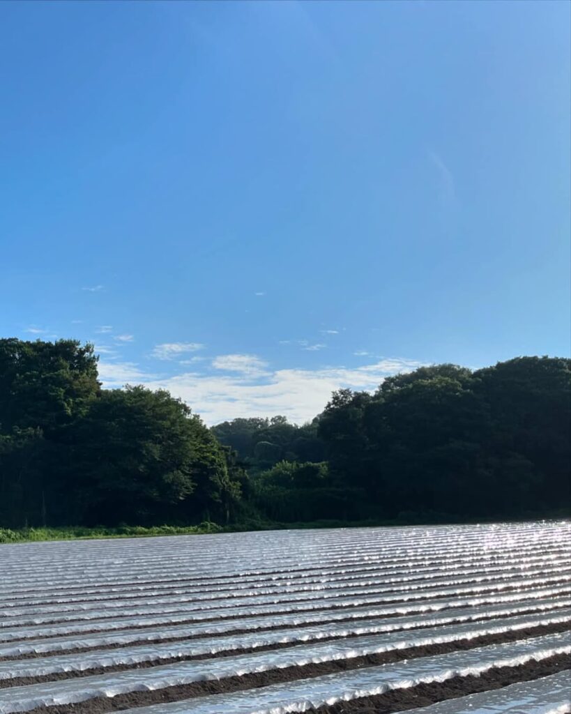 太陽の熱を利用して