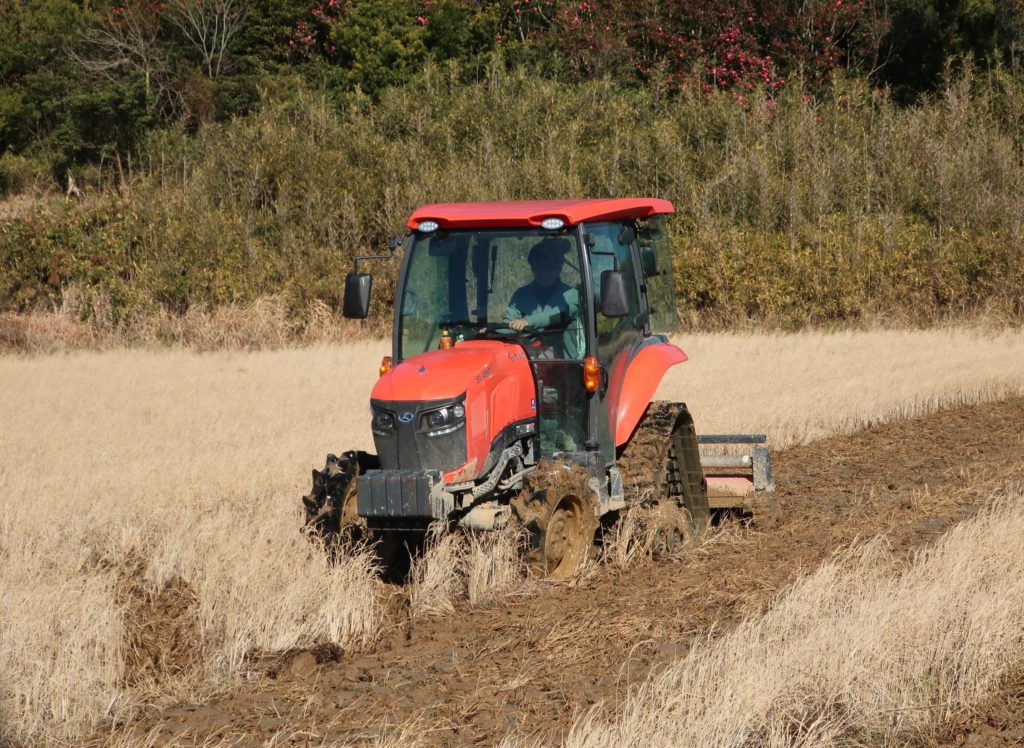 人参収穫の最盛期と生産体制の強化について